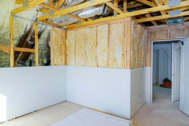 Best Commercial Insulation in Thief River Falls, MN