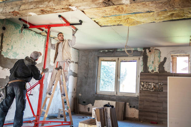 Best Types of Insulation in Thief River Falls, MN